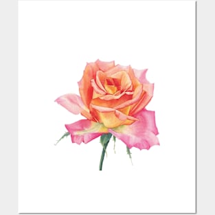 Watercolor orange rose Posters and Art